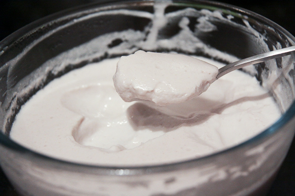 Probiotics are live microorganisms that have been delivering health benefits for thousands of years by helping to establish healthy gut microbiota. Belinda (miscdebris)/Flickr, CC BY-NC-ND