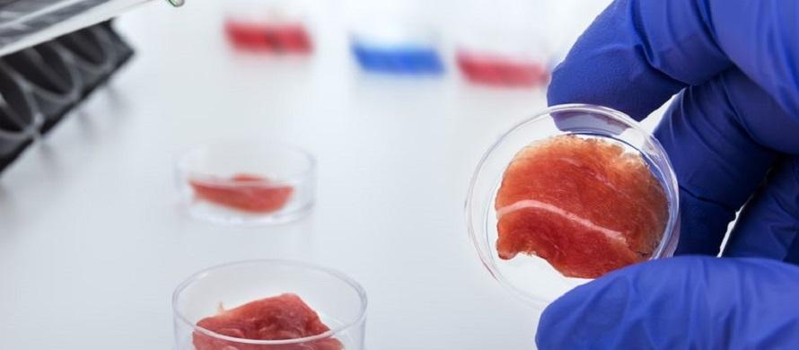 The team from Sejong University in Seoul came up with a prototype of cell-based meat by culturing muscle stem cells from pig skeletal muscle.
