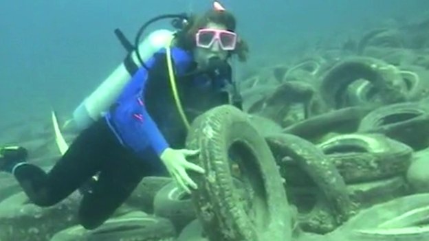 The tires prevented the hermit crabs from leaving the tires in search of larger shells to fit their growing size, as the tires’ recurve kept them stuck inside.