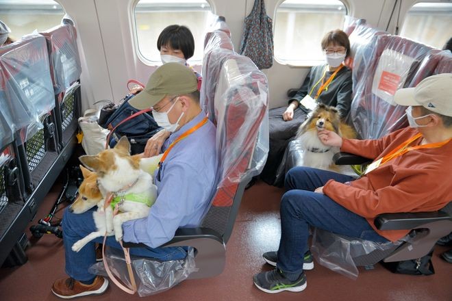 R East trialed the so-called Shinkansen package where passengers could ride with their dogs on the seats next to them.