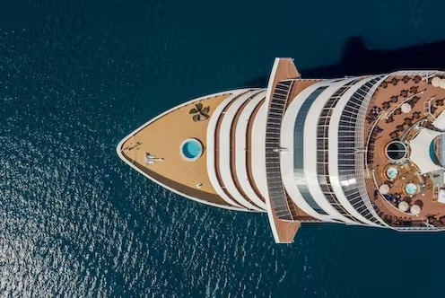 From COVID to gastro, why are cruise ships such hotbeds of infection? - Vimarsana News