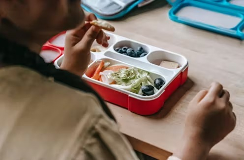 Good lunchboxes are based on 4 things: here's how parents can prepare healthy food and keep costs down - Vimarsana News
