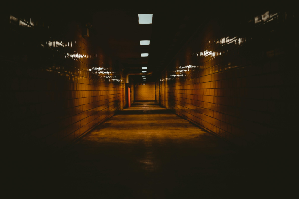 FinCen Report Confirms Bitcoin Favorite for Child Exploitation by Human Traffickers - Vimarsana News