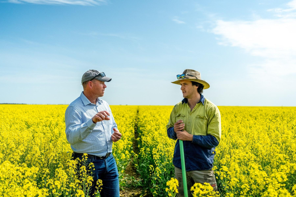 Cargill Launches Sustainable Agriculture Program for Australian Canola