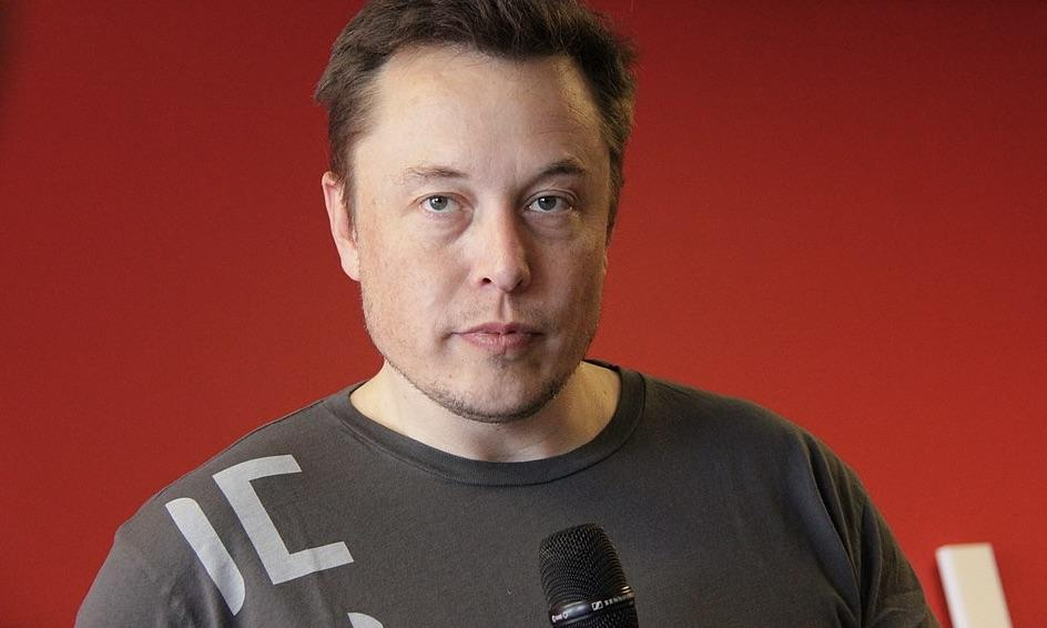 Elon Musk Refutes Crypto Discussions with Donald Trump Amid Growing Speculation - Vimarsana News